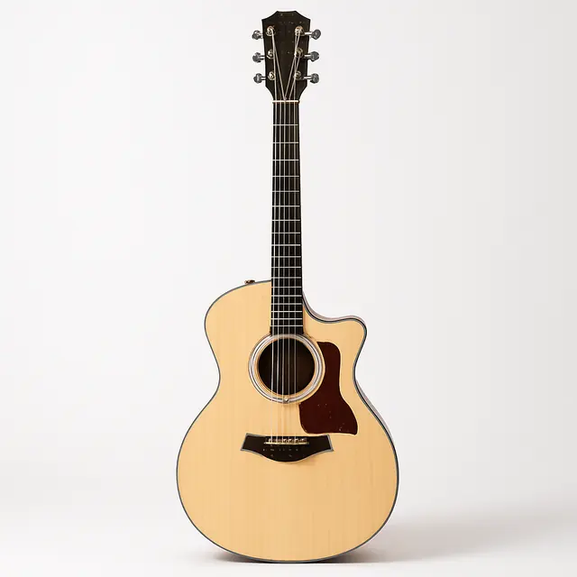 Taylor 314ce